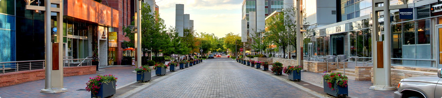 Website - Header Image - Cherry Creek Website - Header Image - Cherry Creek